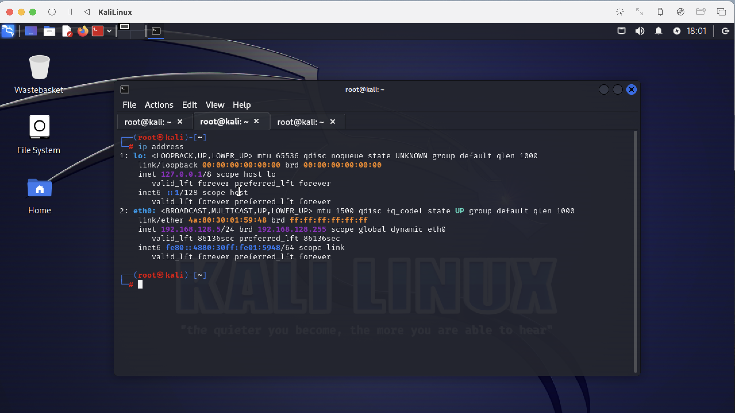 Check the IP Addess of KaliLinux